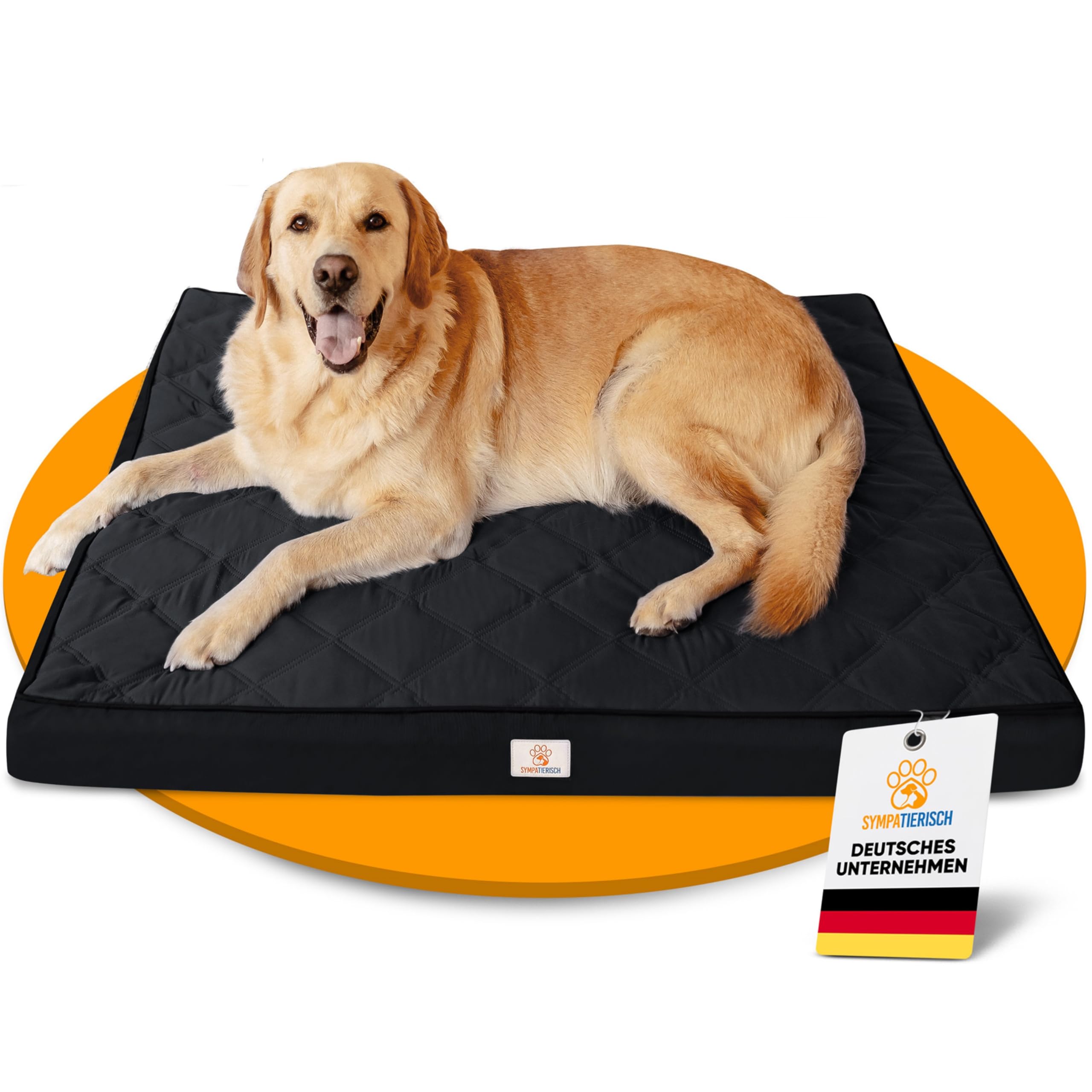 Cama ortopédica para perros resistente al agua – La nueva alfombra favorita para perros de tu nariz de pelo, cojín antideslizante para perros, cesta para perros, funda lavable | perros pequeños a