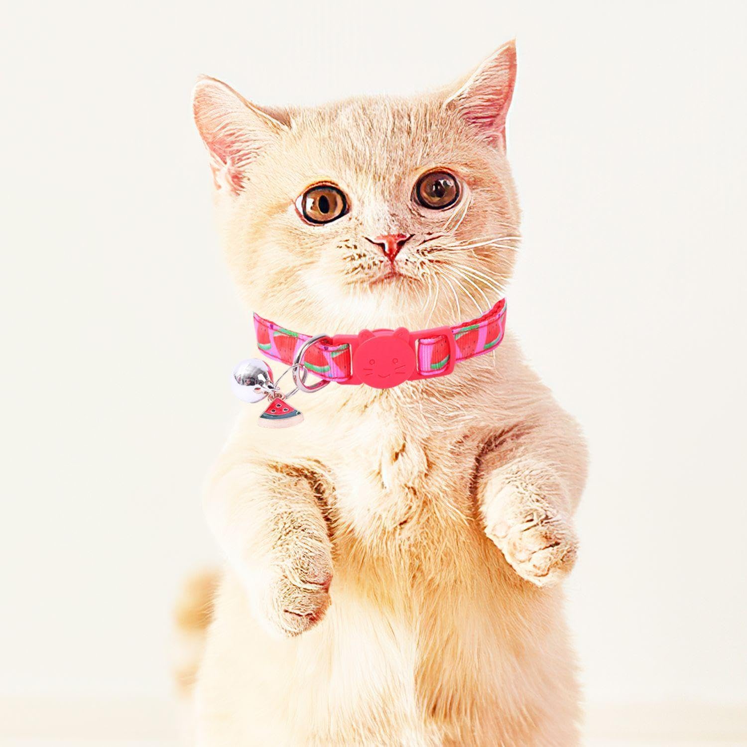 FFDHWU 3 Pieces Fruit Pet Collar, Kitten Collar, Pink Cat Collar, Kitten Collar With Bell, Cat Collar for Girls Loud Cat Bell On Collar - Image 4