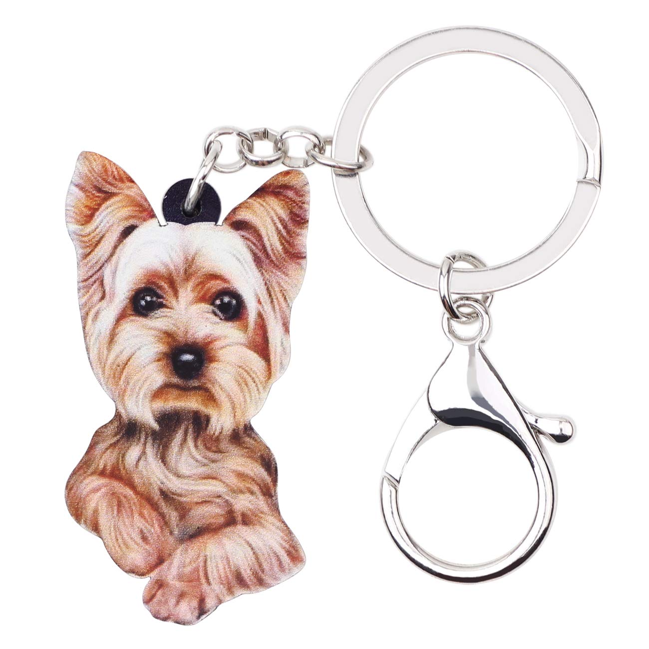 Weveni Women's Multicoloured Acrylic Yorkshire Terrier Teddy Key Chains Yorkie Keyring Girl Handbag Charms Jewelry Keychain (Multicoloured)