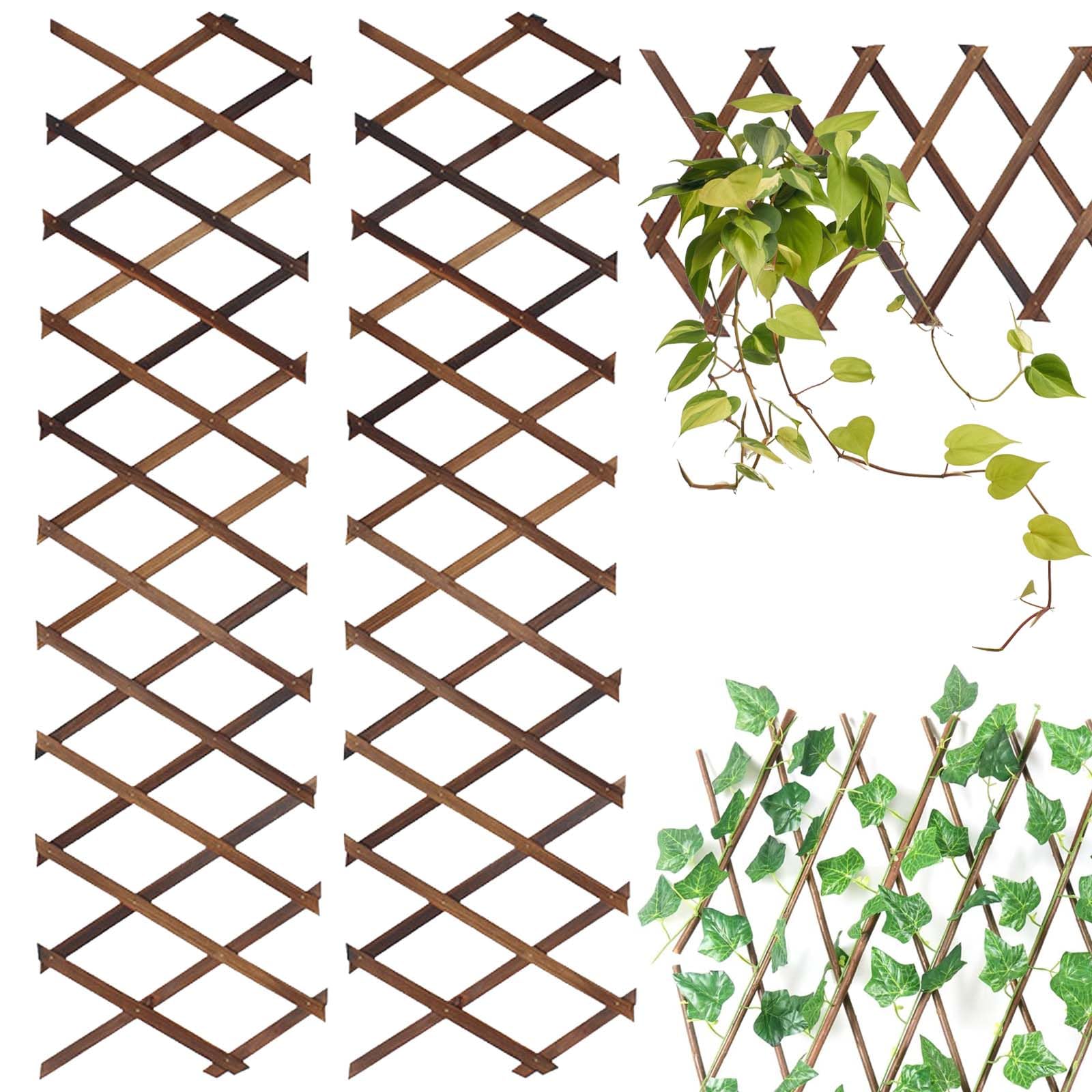 Madera extensible, 2 unidades de enrejado, jardín de valla expandible, ayuda para enredaderas, valla decorativa de tijera, color