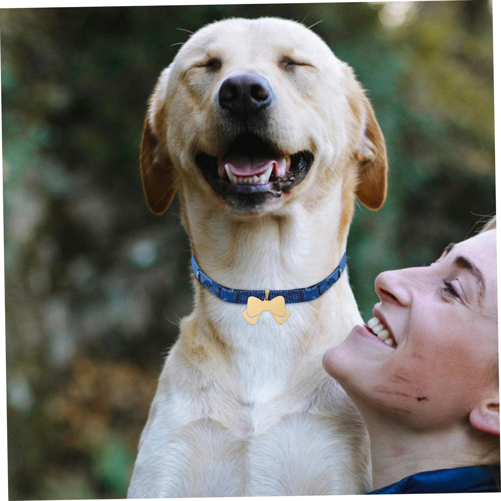 Sosoport 20pezzi Medagliette Per Cani Forma Di Fiocco Targhette Identificative Acciaio Inossidabile Per Cani e Gatti Personalizzabili Con e Telefono Cute e Versatili Per Animali Domestici