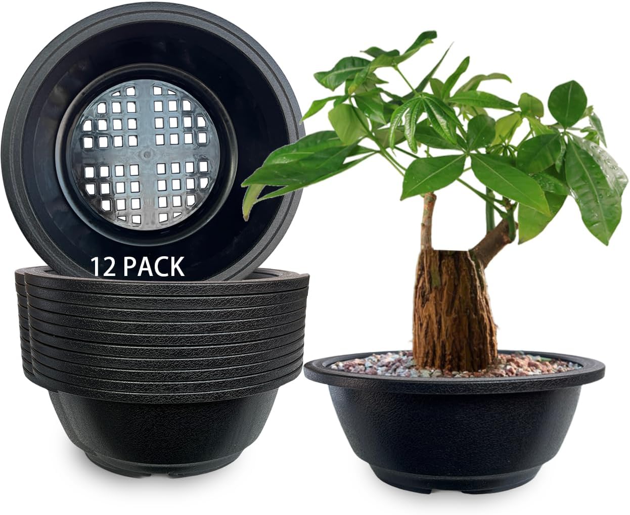 MUZHI 12 Pack Matte Finish Black Round Bonsai Bowl Planter Pot with Drainage, Plastic Garden Low Planter Pots 7.8"