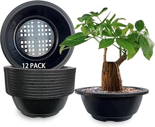 Miniatura 8 de MUZHI Paquete de 12 macetas redondas para suculentas, color negro mate, con drenaje, macetas planas de plástico para plantas de jardín de 6.3