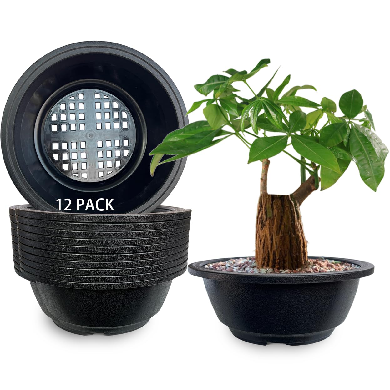 Amazon.com : MUZHI 12 Pack Matte Finish Black Round Bonsai Bowl