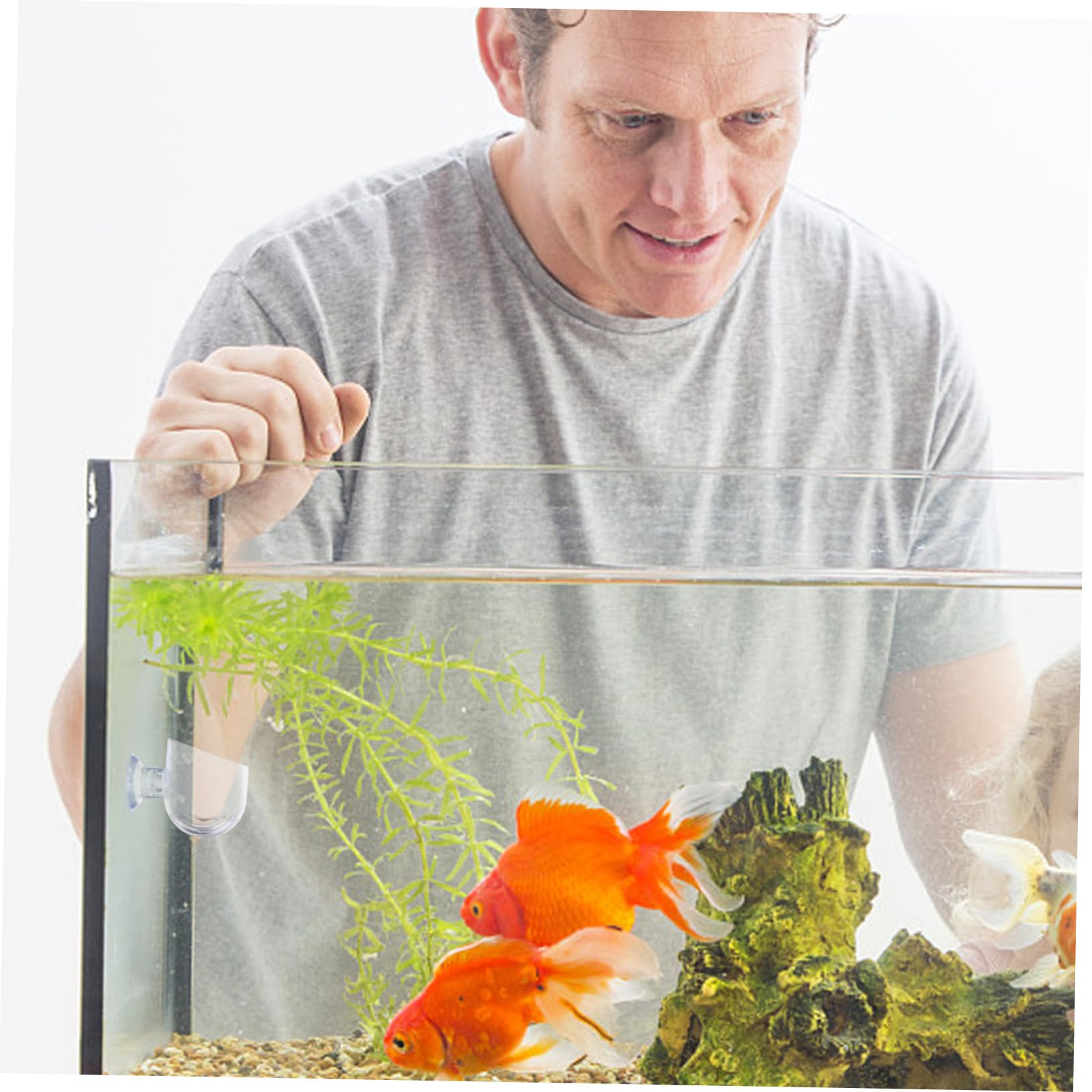 balacoo Acrylic Aquarium Plant Holder Bloodworm Storage Container with Bowl Suction Cup