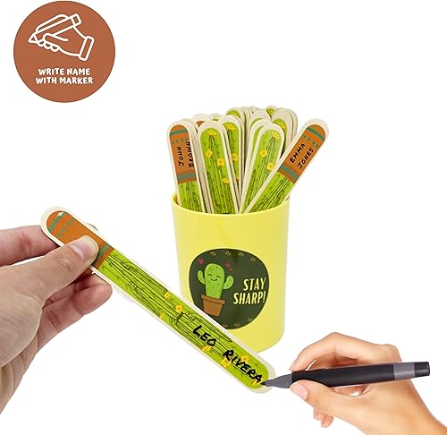 Miniatura 5 de 4E's Novelty 36 palitos de cactus con taza de almacenamiento, palitos para contar nombres, agrupación de estudiantes, aula, maestros, suministros