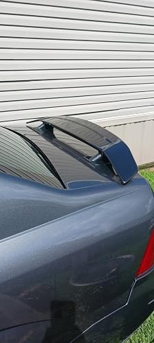 Review Image by Buyer