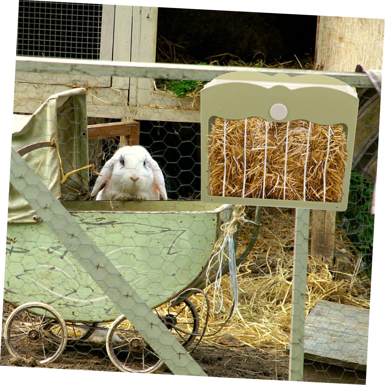 2pezzi Mangiatoia Per Conigli e Porcellini Da Contenitore Appeso Riutilizzabile Supporto Per Cibo Per Piccoli Animali Facile Da Pulire e Manutenere