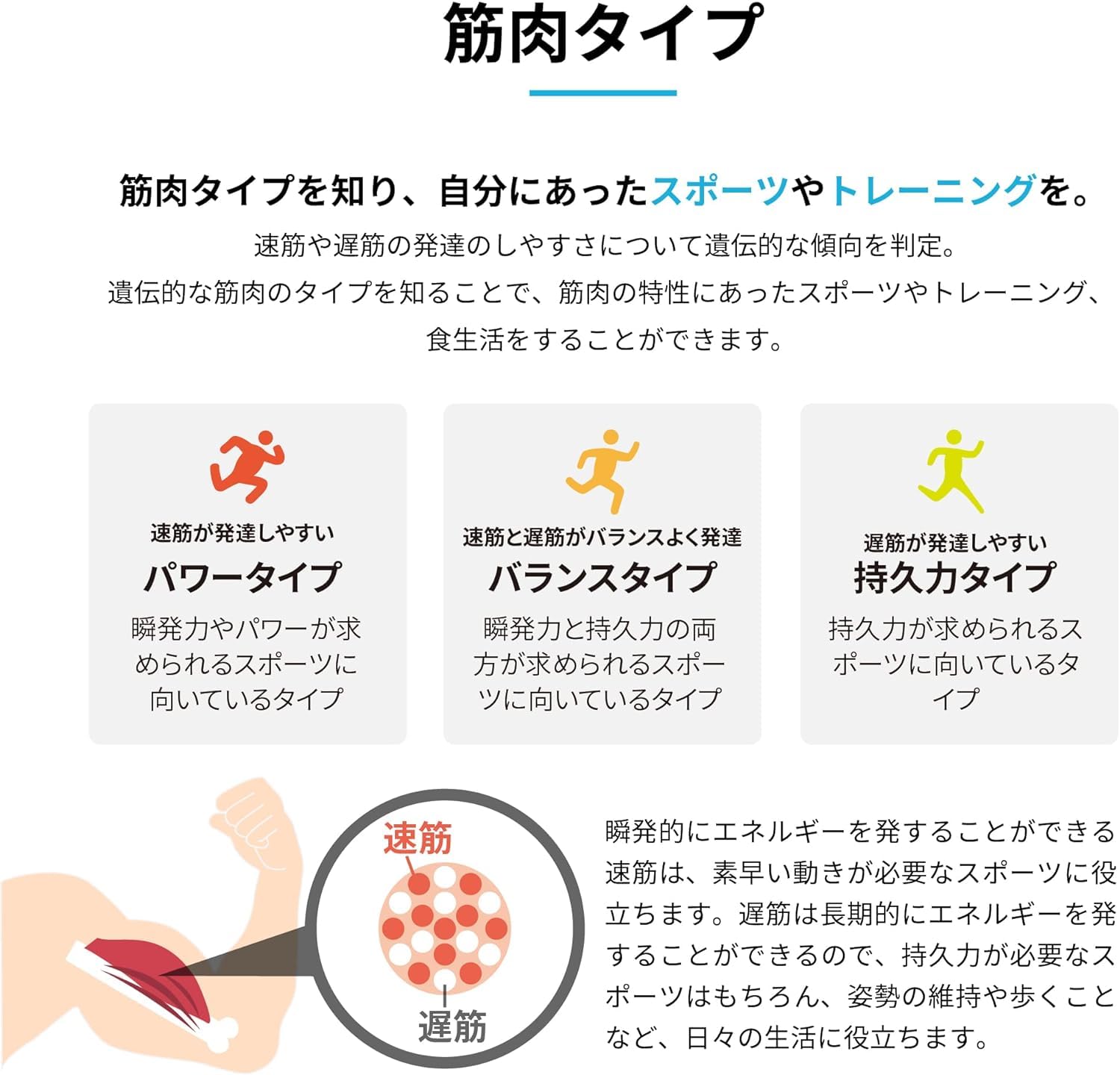 新品 遺伝子検査　ジーンライフ SPORTS スポーツ ２個 GeneLife SPORTS 遺伝子検査 – 筋肉タイプと最適なトレーニング