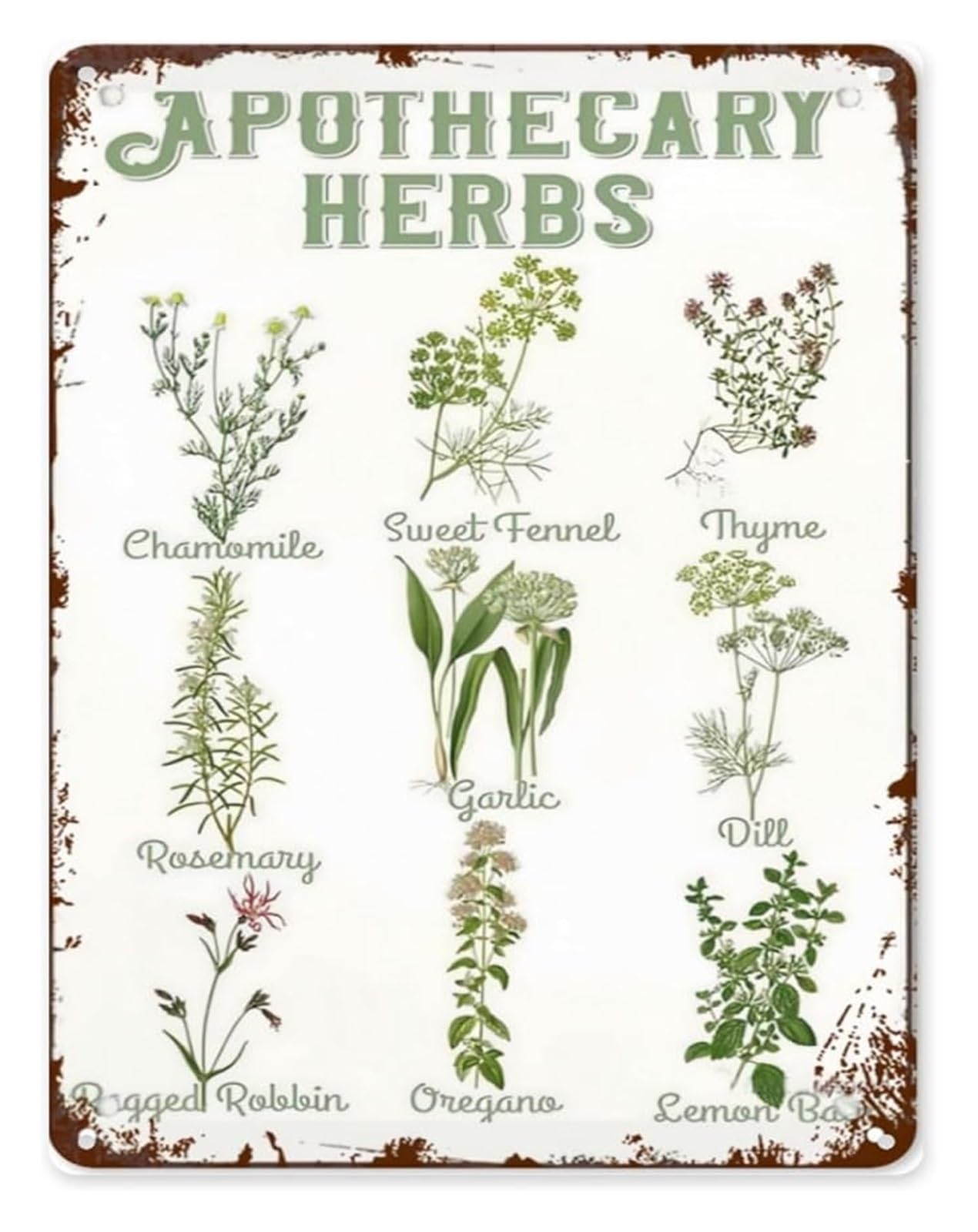 FNYUVNFAF Apothecary Botanical Herbs Tin Sign Vintage Aesthetic Fun Inspirational Happy Quotes For Bathroom Yard Home Cafe Office Wedding 8 X 12 in