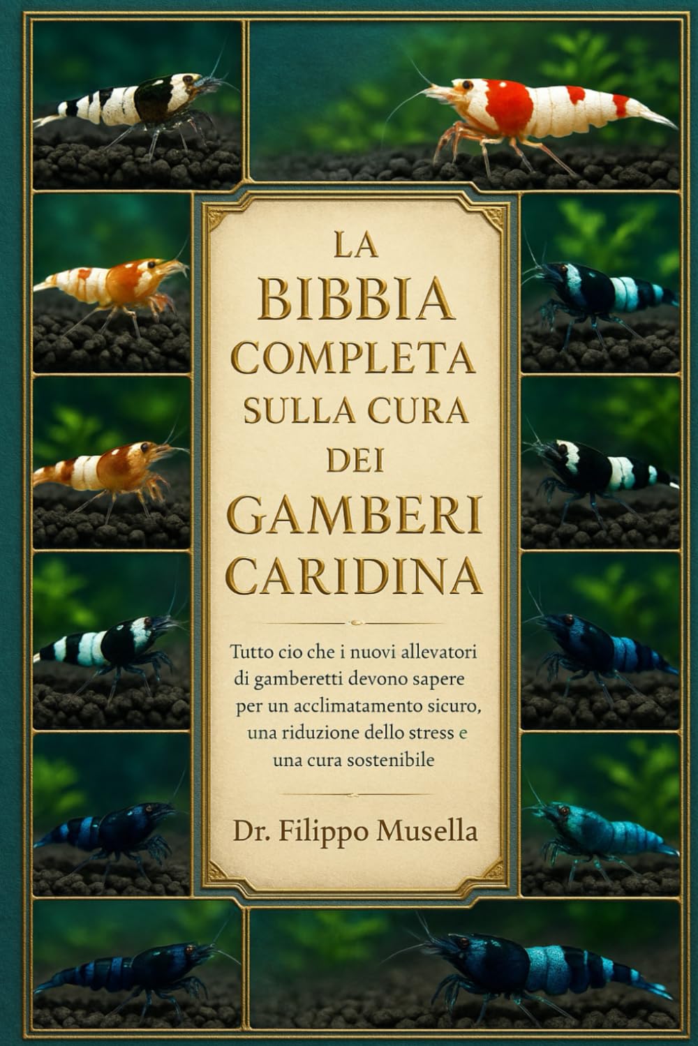 LA BIBBIA COMPLETA SULLA CURA DEI GAMBERI CARIDINA: Tutto ciò che i nuovi allevatori di gamberetti devono sapere per un acclimatamento sicuro, una riduzione dello stress e una cura sostenibile