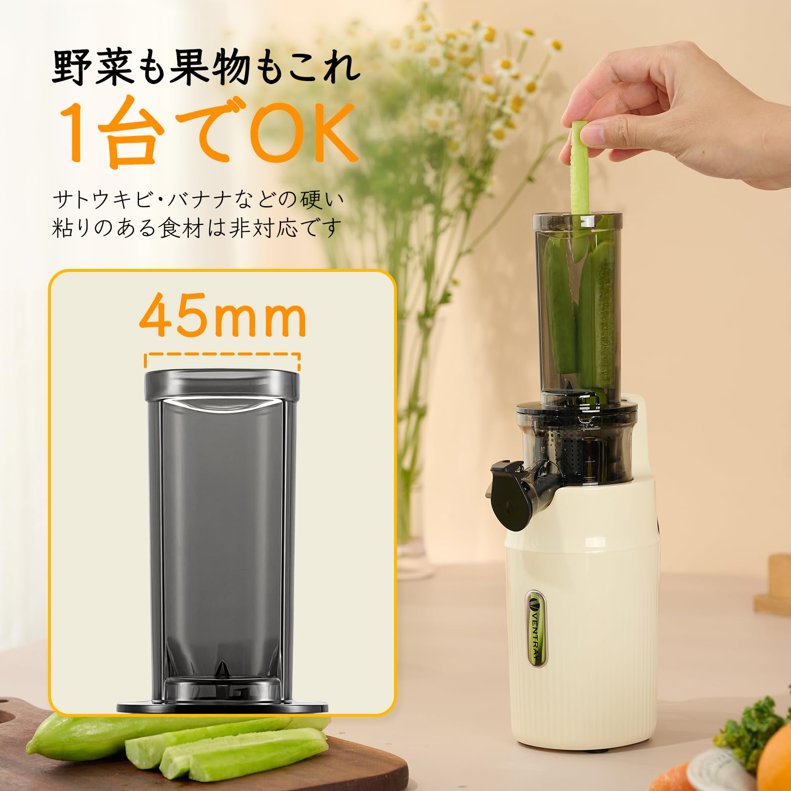 Amazon.co.jp: Ventray Ginnie スロージューサー 低速回転 高搾汁率 