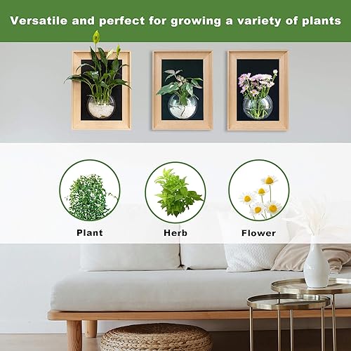 Miniatura 6 de Maceta colgante de pared con marco de madera natural para plantas hidropónicas, jarrón de pared de 12 x 16 pulgadas con estación de propagación