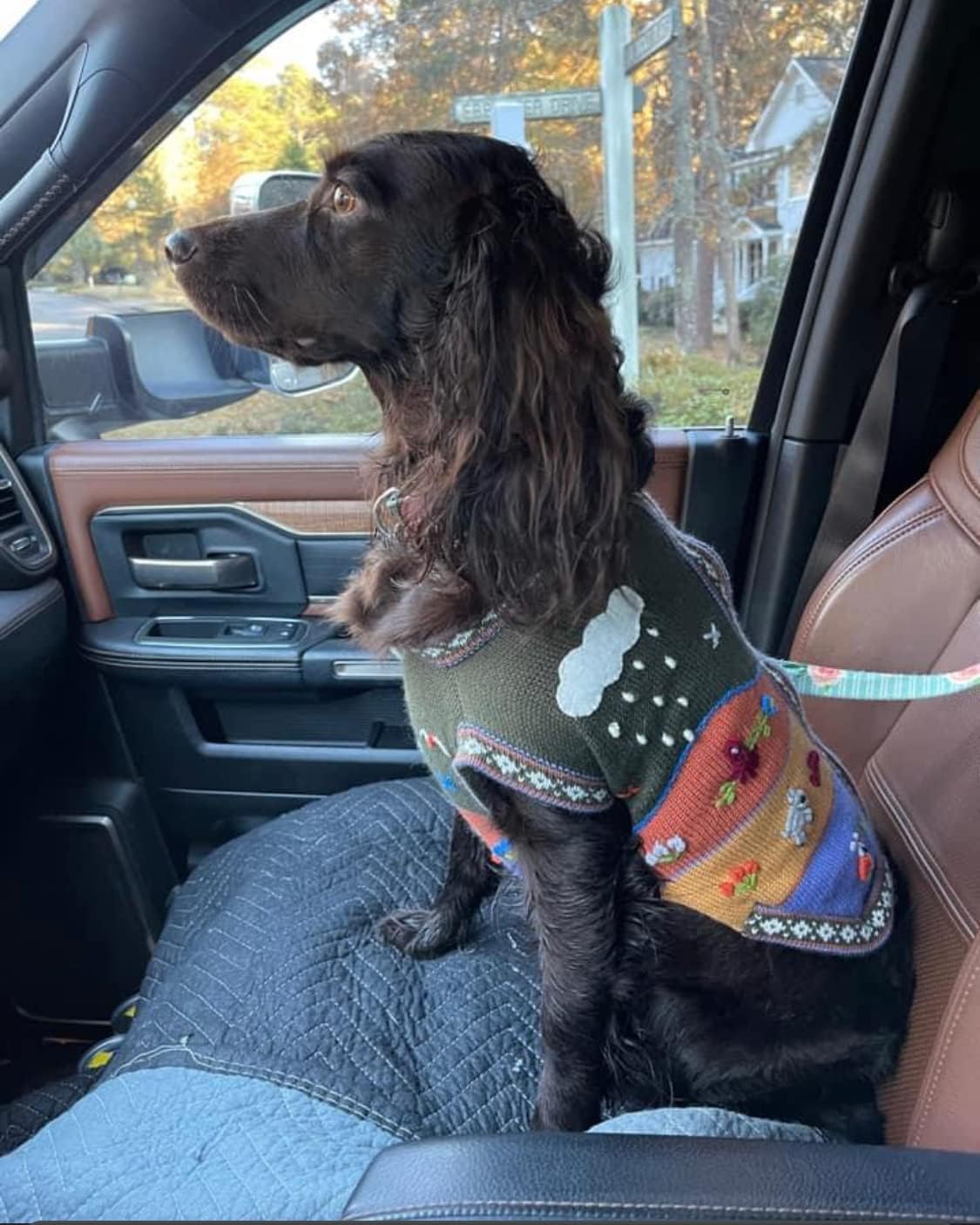 Handmade Peruvian luxury dog sweater. MILITARY GREEN COLOR. SIZE 8 for dogs approx. 17-22 lbs.