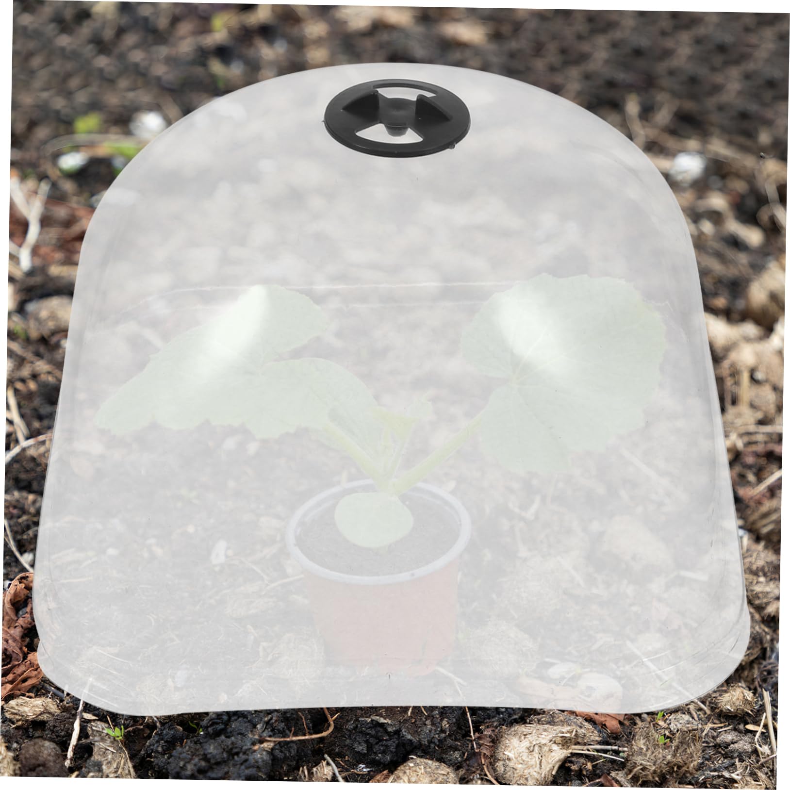 3 Series Protectora para Plantas De Dome Transparente para Protección Antiheladas Y para Crecimiento De Plantas Diversas Condiciones Climáticas 6 Piezas X 3
