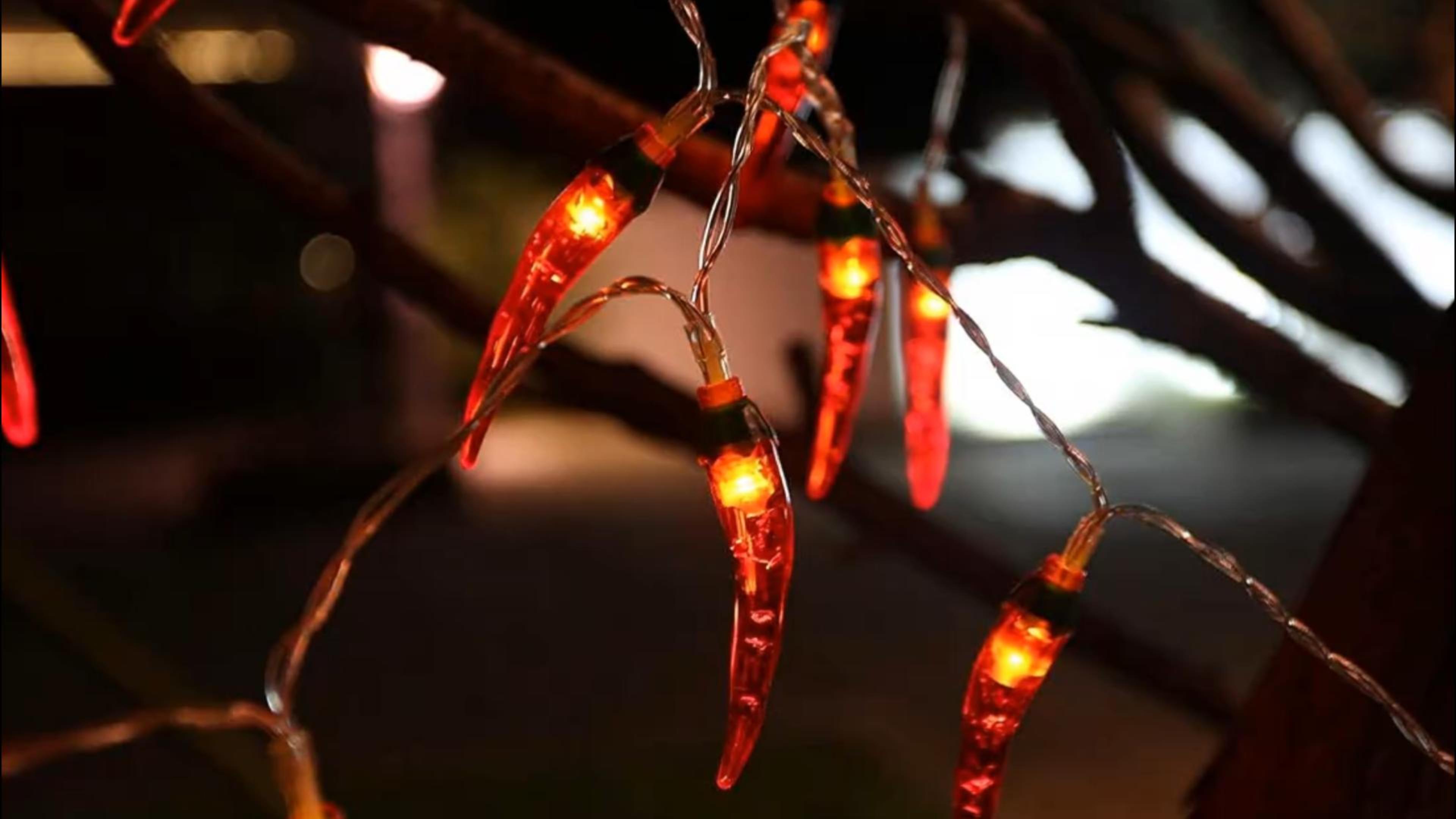 Amazon.com: OKBA 2pack red Chili Pepper String Lights,40 LED
