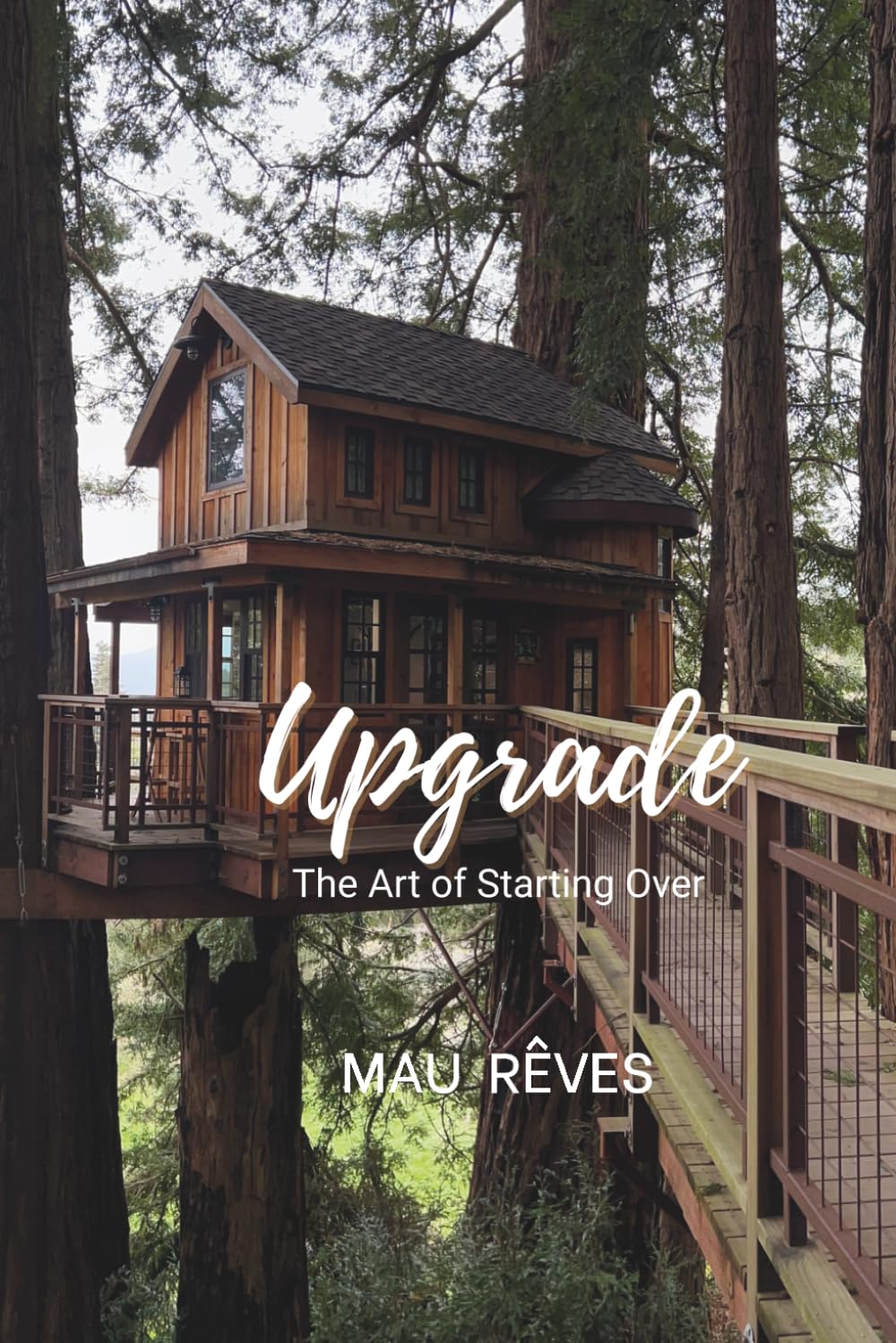 Upgrade: The Art of Starting Over