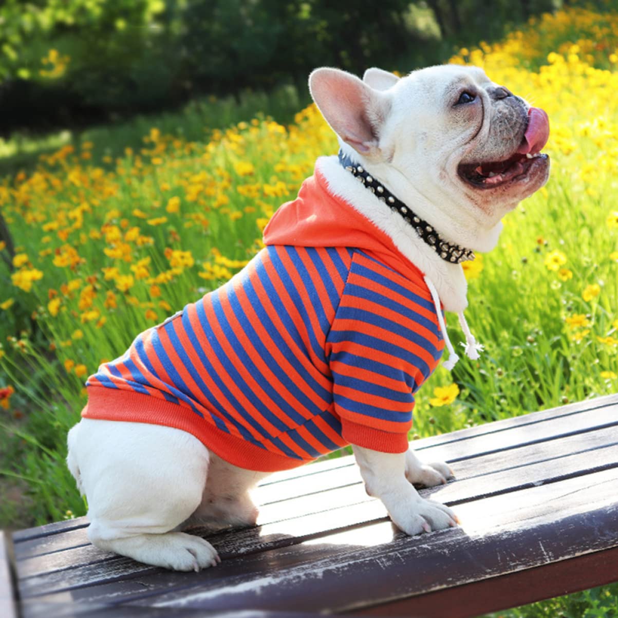 BESPORTBLE 3pezzi Maglietta Strisce Per Cani Cotone Traspirante Abbigliamento Per Animali Domestici Per Occasioni Speciali e Attività All Aperto Comoda e Alla Moda Varie Taglie
