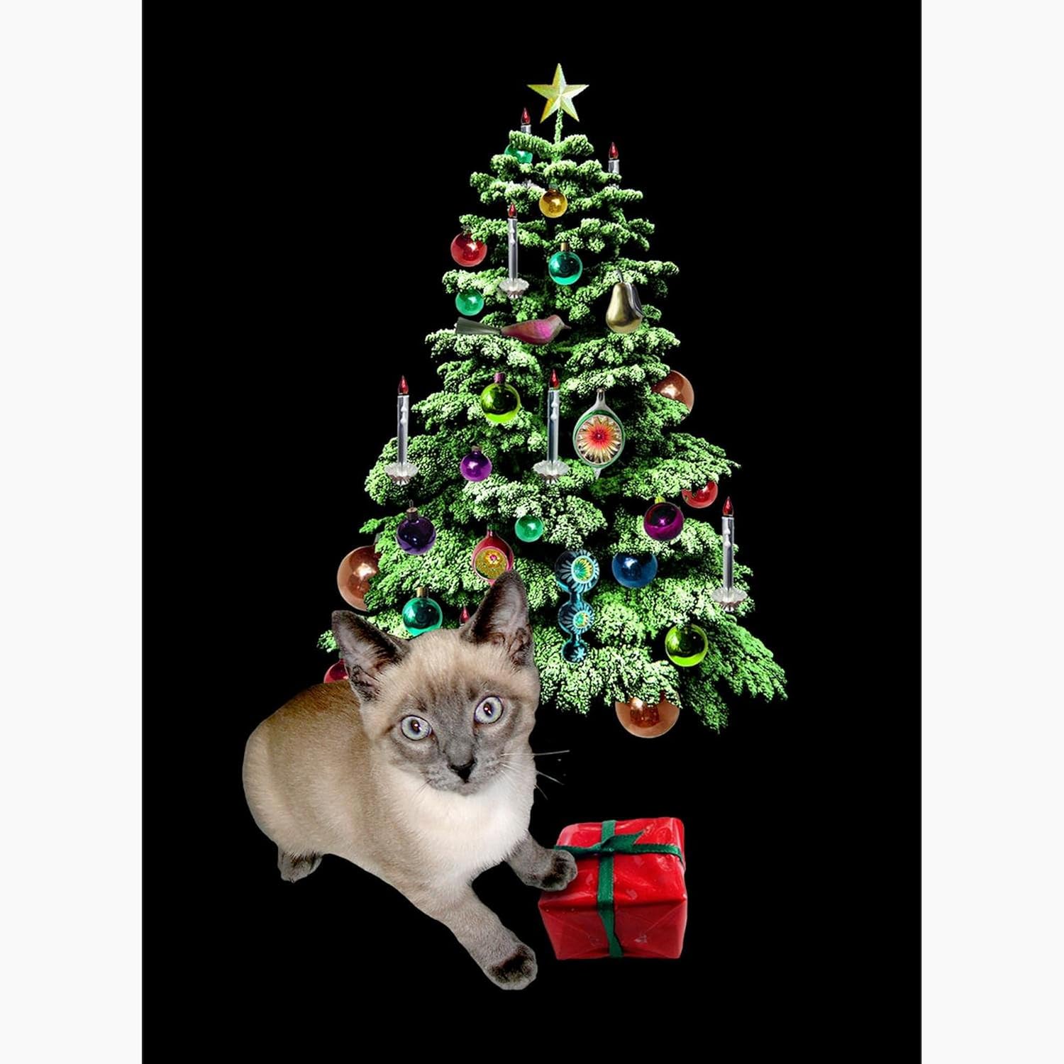 CafePress Cat Frosty Xmas Tree Greeting Card (20-pack), Note Card with Blank Inside, Birthday Card Glossy