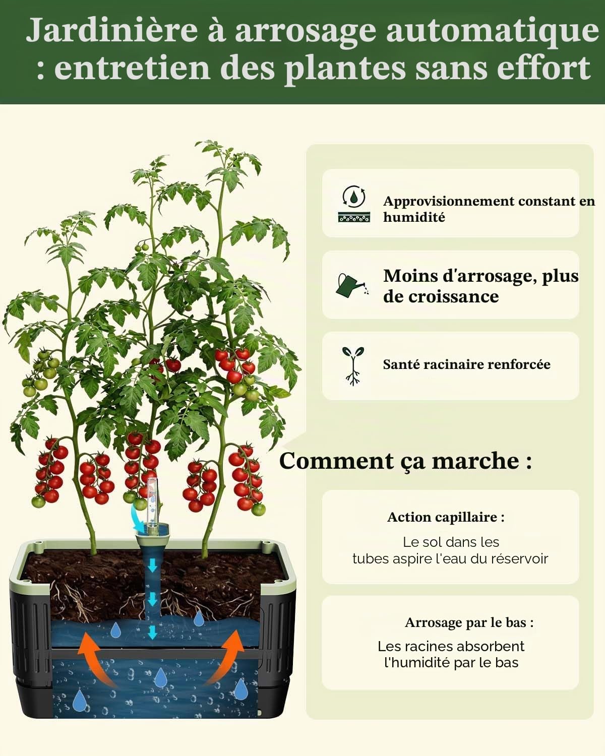 Pot à tomates auto-arrosant avec treillis, treillis cages à tomates rectangulaires pour carré potager, bac à tomates pour pots de jardin, terrasse, intérieur et extérieur (1 pièce)