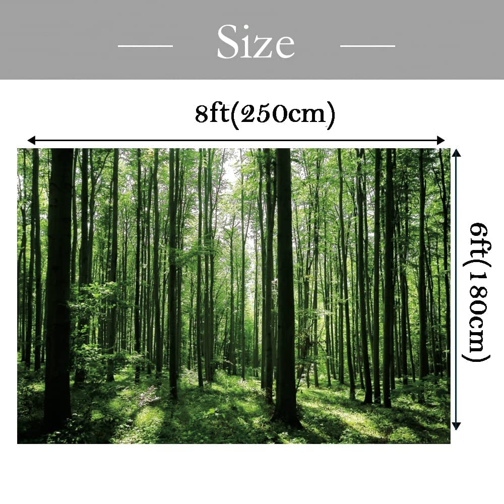 OFILA 8x6ft Spring Forest Photography Backdrop Green Jungle Forest Sunlight Grassland Wonderland Tree Nature Landscape Background Adventure Camping Picnic Hiking Theme Party Decoration Banner