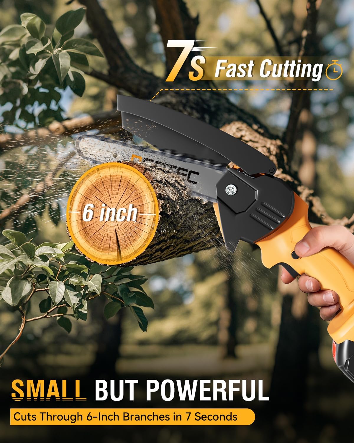 https://m.media-amazon.com/images/I/71H7o+SwbDL._AC_SL1500_.jpg