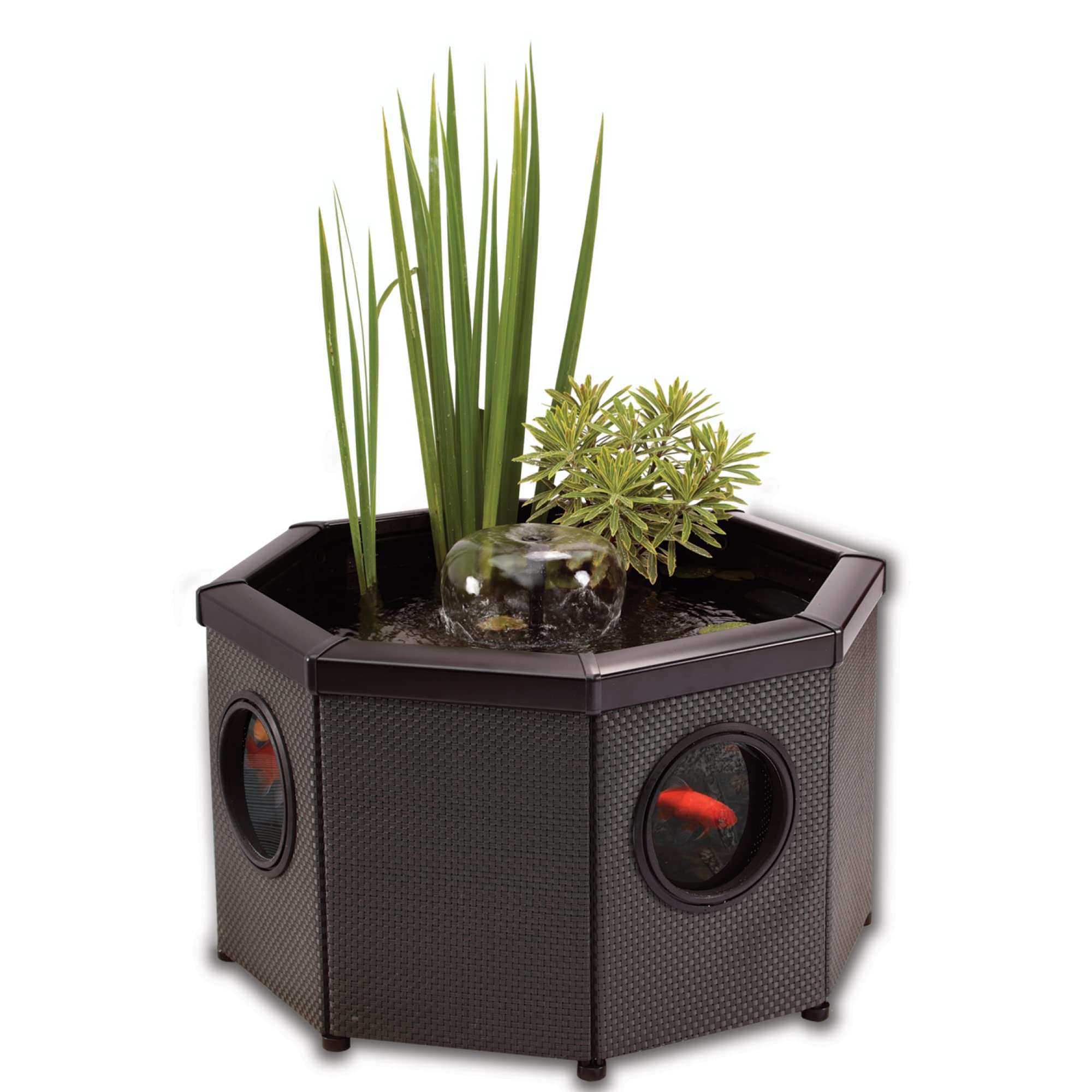 Blagdon Affinity View Octagon Living Water Feature Teichbecken achteckig mit Sichtfenstern
