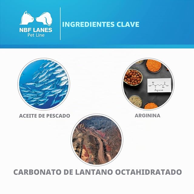 Foto 5 de 7 de NBF Lanes - Nefrokrill Gato, 60 perlas Softgel, apoyo a la función renal en caso de insuficiencia renal…