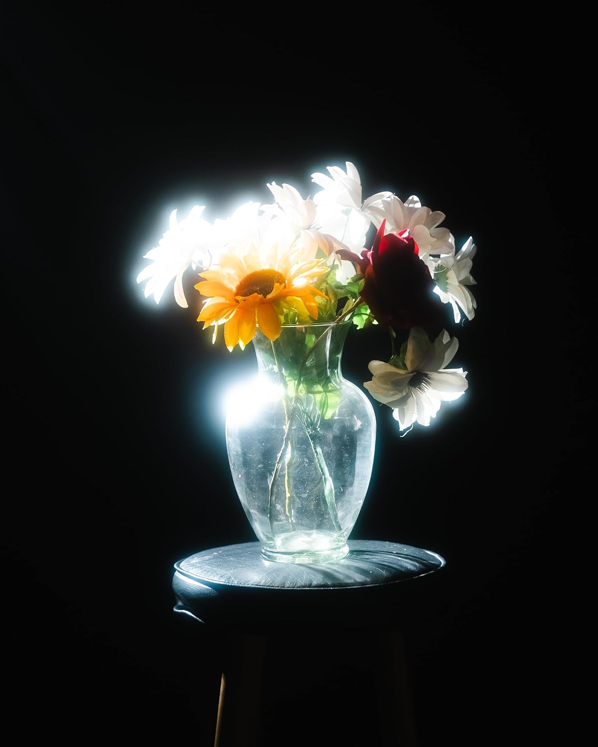 Prism Lens FX Cine Soft FX Filter | 77mm Circular Threaded | 1/2 Strength Diffusion | Creates a Cinematic Softness & Glow to Highlights | Reduces Blemishes & Imperfections