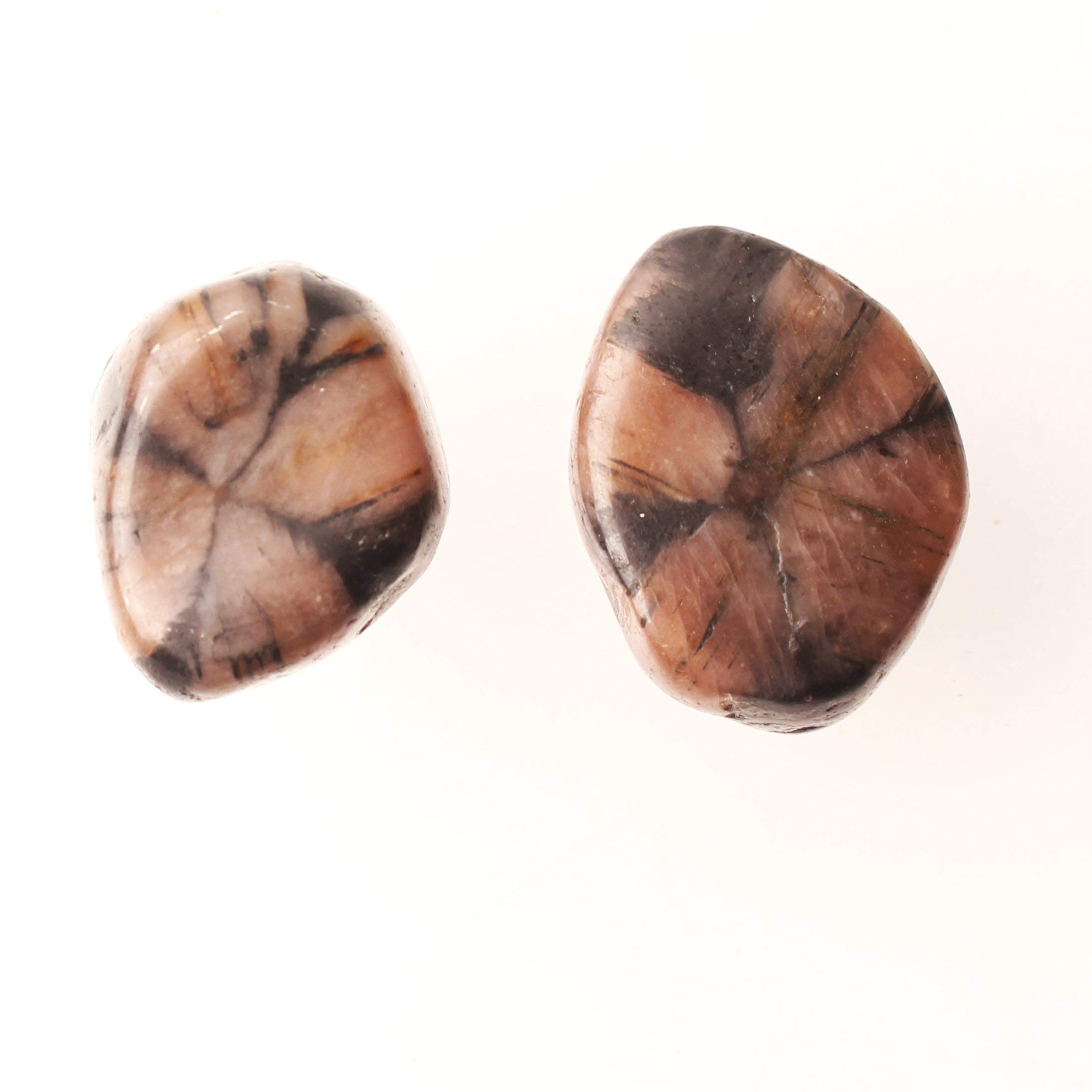NUJA 1pc Natural Chiastolite Pietra Pietra Pietra Pietra Andalusite Crystal Pendente a Mano Palm Palm Regalo di guarigione
