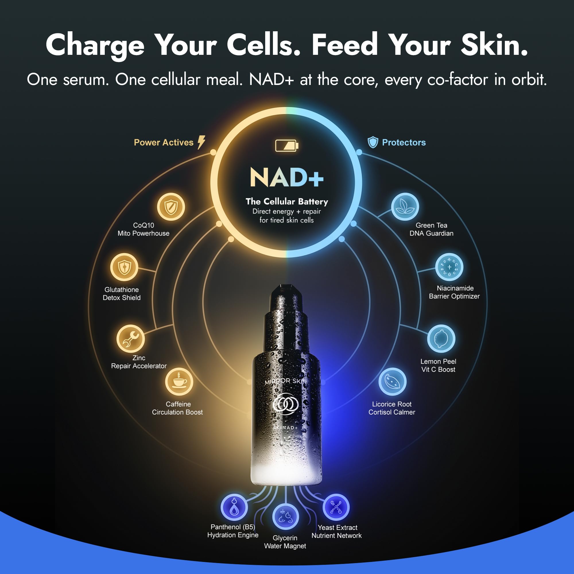 glutathione cortisol Amazon.com: MIRROR SKIN SKINAD+ Liposomal NAD+ Serum for Face with  Stabilized NAD+, Glutathione, CoQ10 and Niacinamide : Beauty & Personal Care