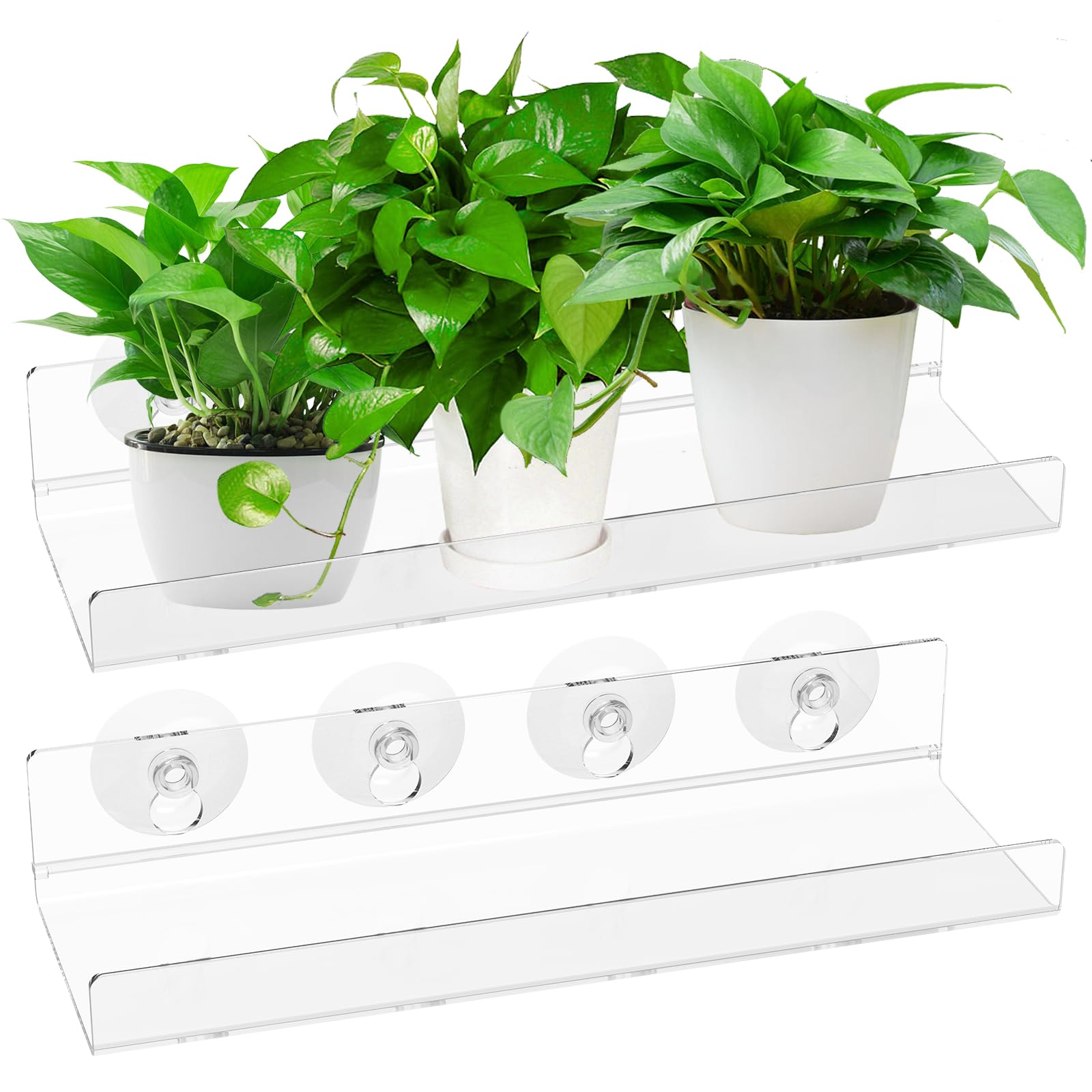 Menibbler Transparent 2 Pack Acrylic Window Plant Floating Shelf 30Cm Ledge Plants Holder With 8 Suction Cups Easy Install Window Plant Shelves Shelf Suction Cup For Indoor Gardens Indoor
