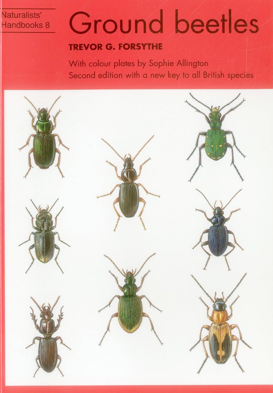 Ground beetles Paperback – 1 January 1990