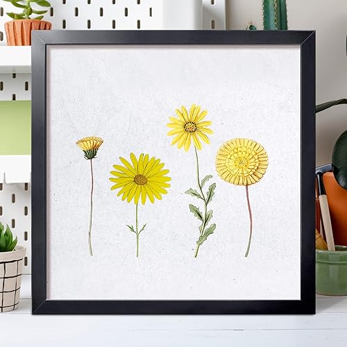 Vista 377 de LaVie Home - Portarretratos de 18 x 24 pulgadas, fotos de 16 x 20 pulgadas con paspartú, de 18 x 24 pulgadas sin paspartú, plexiglás pulido, Negro