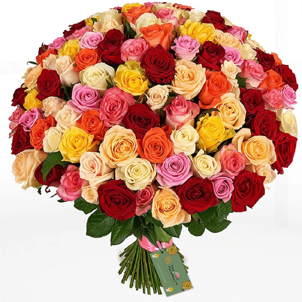 Premium Fresh Flower Bunch of Roses in Cellophane Wrapping || TFM Gifts (Bunch of 100, Multicolour)-picture-25
