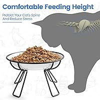 Vista 2 de Ceramic Elevated Cat Bowls - Whisker Friendly, Anti-Vomiting, Stylish & Hygienic Cat Bowl Set (Line Cat, 2 Pack)