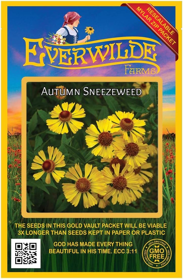 Everwilde Farms - 1/4 Lb Autumn Sneezeweed Native Wildflower Seeds - Gold Vault