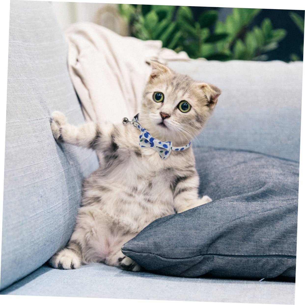 VANZACK 9pezzi Collare Per Gatti Con Campanella e Design Fruttato Di Frutta Mista Accessorio Estivo Per Animali Domestici