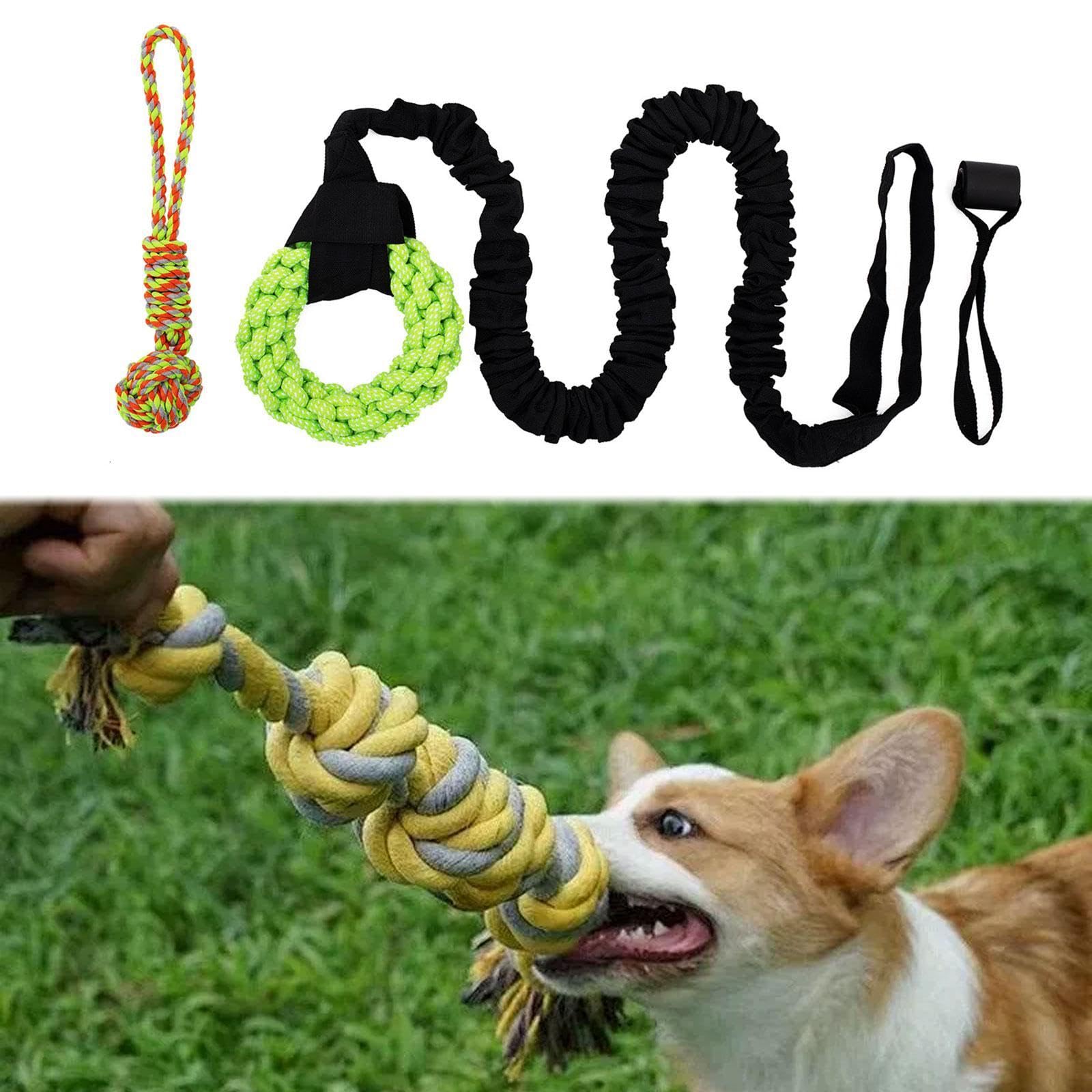 Jouet élastique pour Chien à Suspendre Aux Arbres, Corde de Jeu, Exercice pour Chiens de Toutes Tailles, Même Les Plus Turbulents, Jeu de à, Anneau Vert