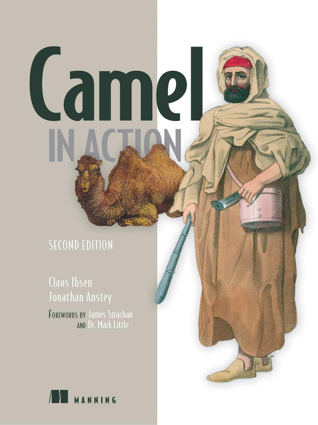Manning Publications Camel in Action, Second Edition