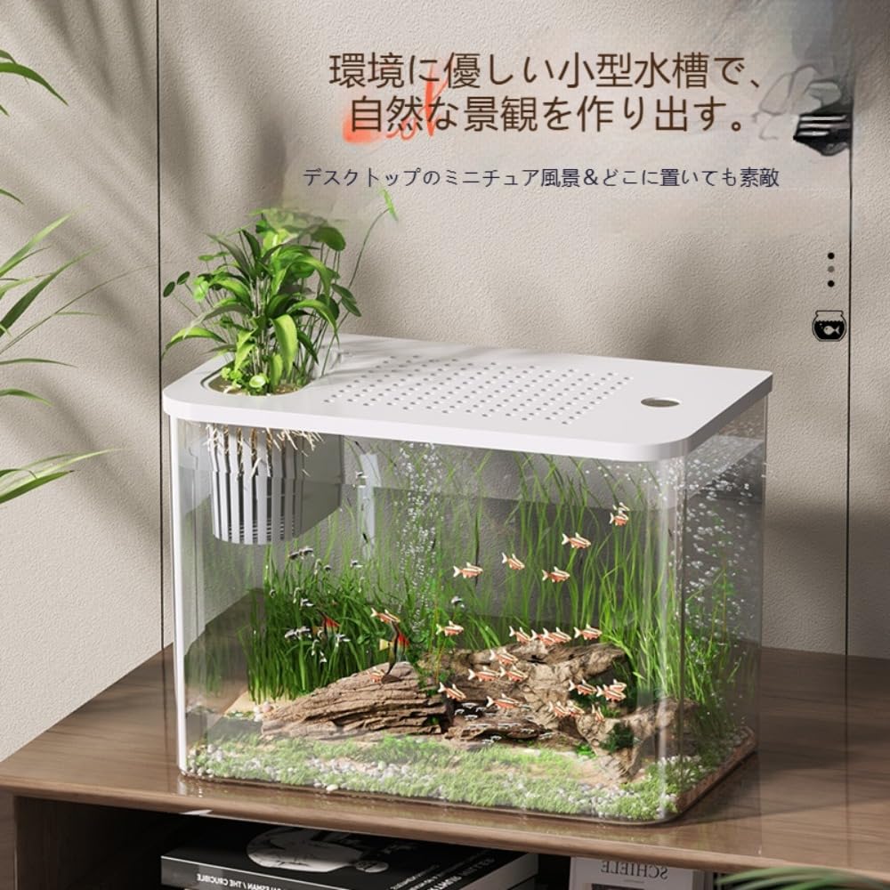 Amazon | PET 製 一体成型飼育水槽 蓋付き 陸場付き 卓上小型生態 金魚