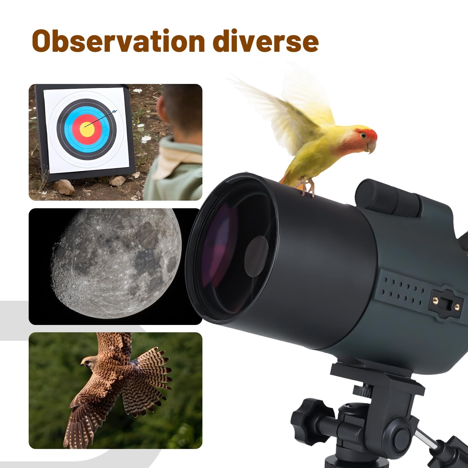 Svbony SV41Pro Mak Longue Vue avec Trépied et SC001 WiFi Caméra, 28-84X80 FMC Mise au Point à Double Vitesse, Longue Vue Puissante pour Le Tir Sportif et la Chasse, Observation des Oiseaux