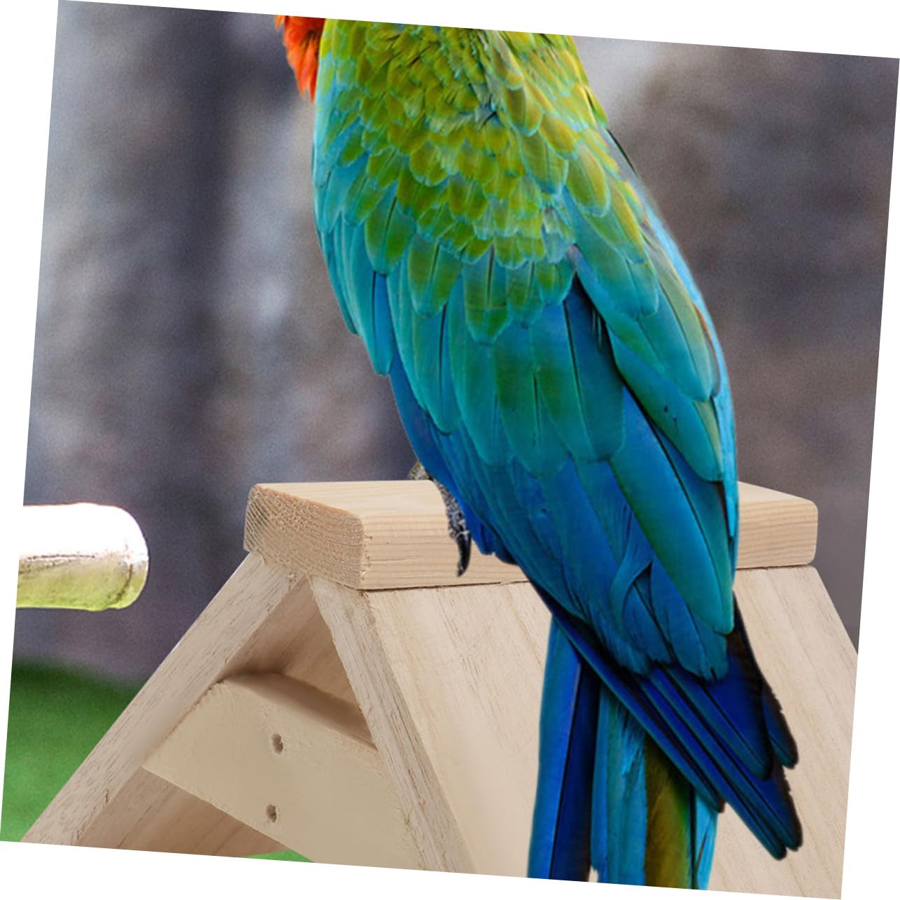 5 Perchas de Madera para Pájaros y Loros Decoración Hogar Paquete de 5 Unidades Soporte Masticable para Jaulas para Aves Pequeñas