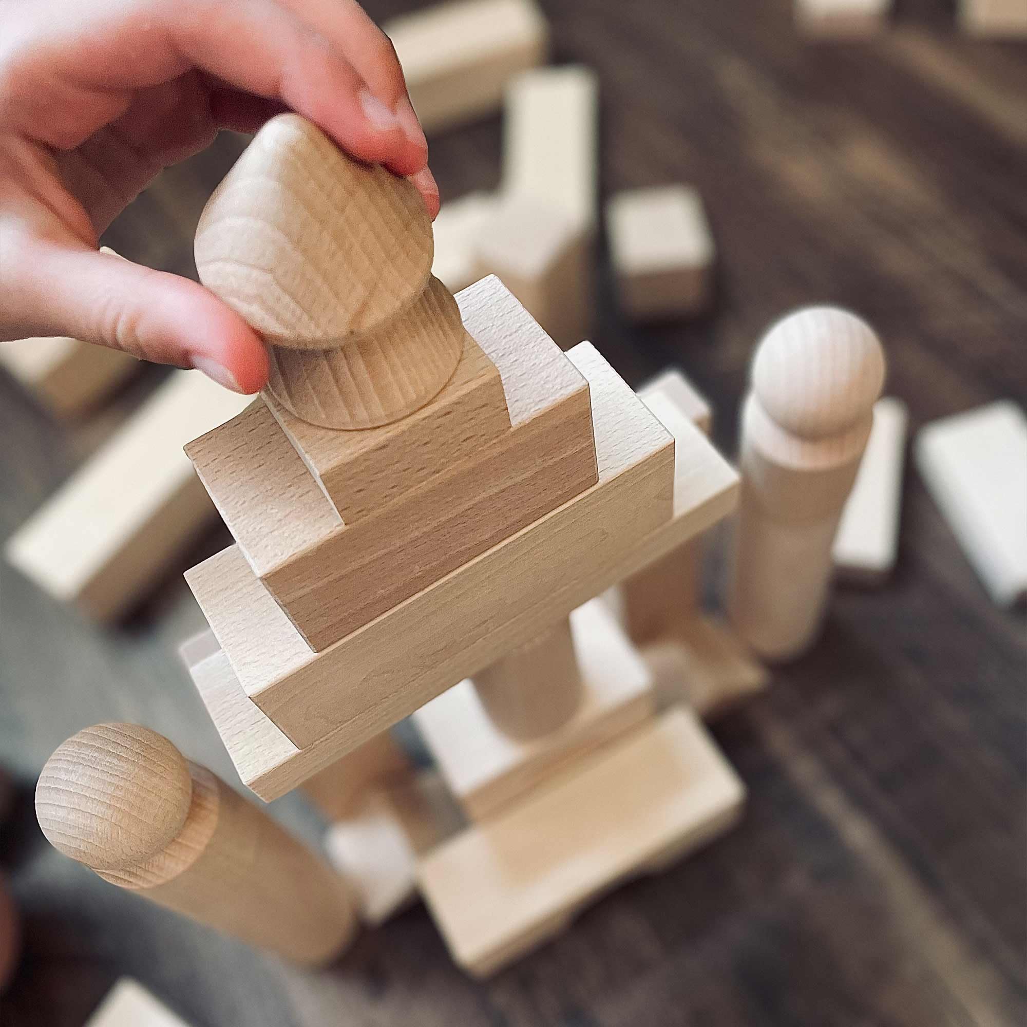 Haba Basic Building Blocks Starter Set (Large)