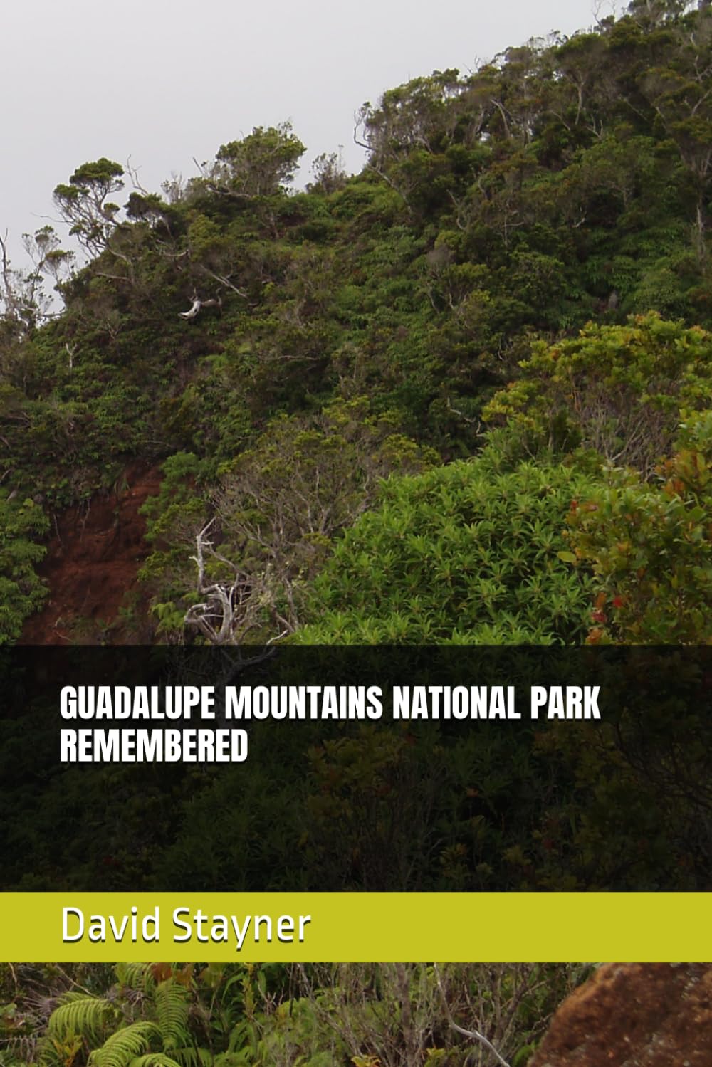 GUADALUPE MOUNTAINS NATIONAL PARK REMEMBERED