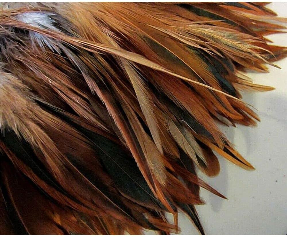 50 Pcs Chinese Rooster Saddle Hackle Feathers - Strung Furnace - 5-7"
