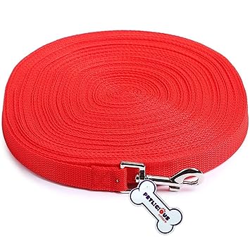 Petlicious & More? Nylon Dog Training Leash Dog Leash Long Leash 10 Ft Long Leash for Dogs (1