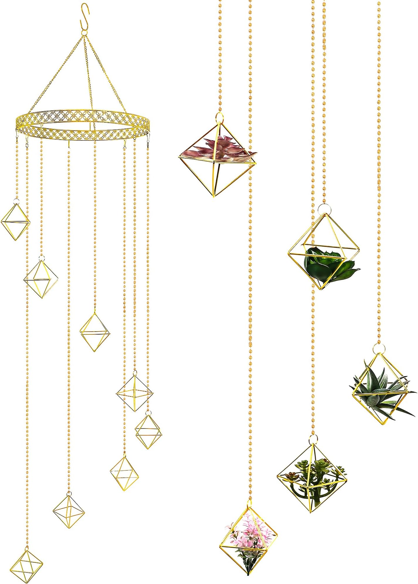 Mimeela 4 stuks luchtplantenhouder Unieke, schattige inktvis luchtplant hanger muur plantenbak, keramische Tillandsia luchtplanthouders opknoping muur decor voor thuiskantoor (inktvis klein (4,1 x 9,1