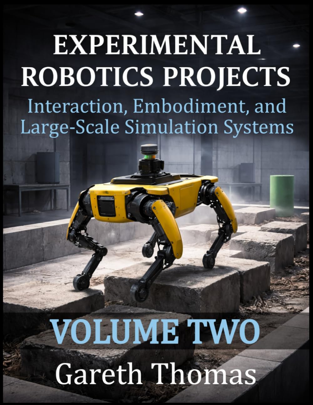 Experimental Robotics Projects Volume Two: Interaction, Embodiment, and Large-Scale Simulation Systems (Robotics Engineering and Intelligence)