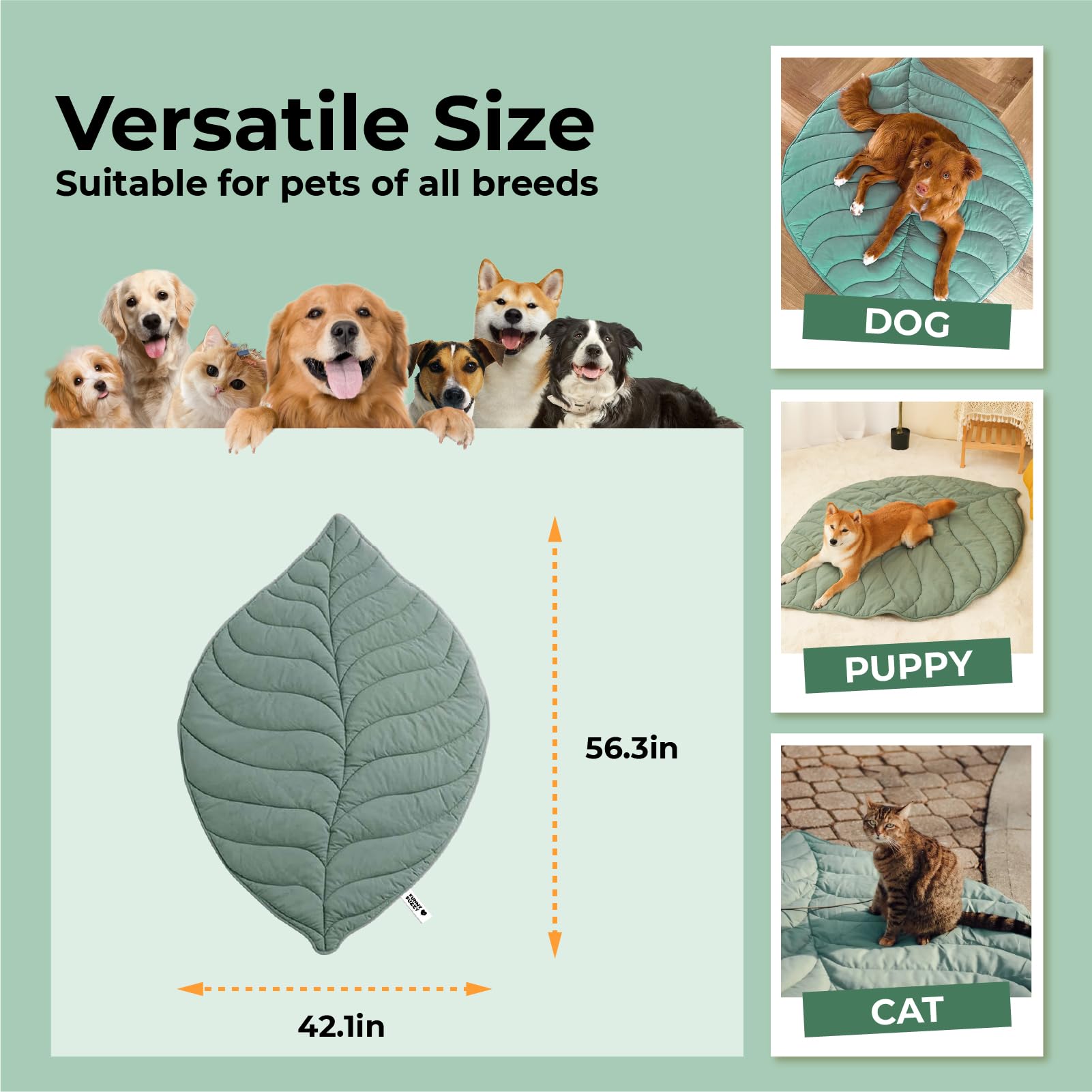FUNNY FUZZY Coperta per cani e gatti, 106 x 142 cm, con motivo a foglie, lavabile in lavatrice, su entrambi i lati, per letto, divano, pavimenti, mobili, colore: verde olmo
